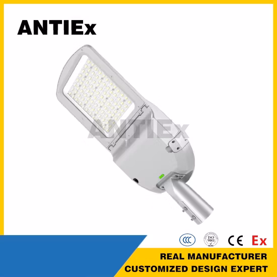 Eco218L 2*2FT 워크샵 IP65 LED 천장 조명 LED 비바람에 견디는 조명